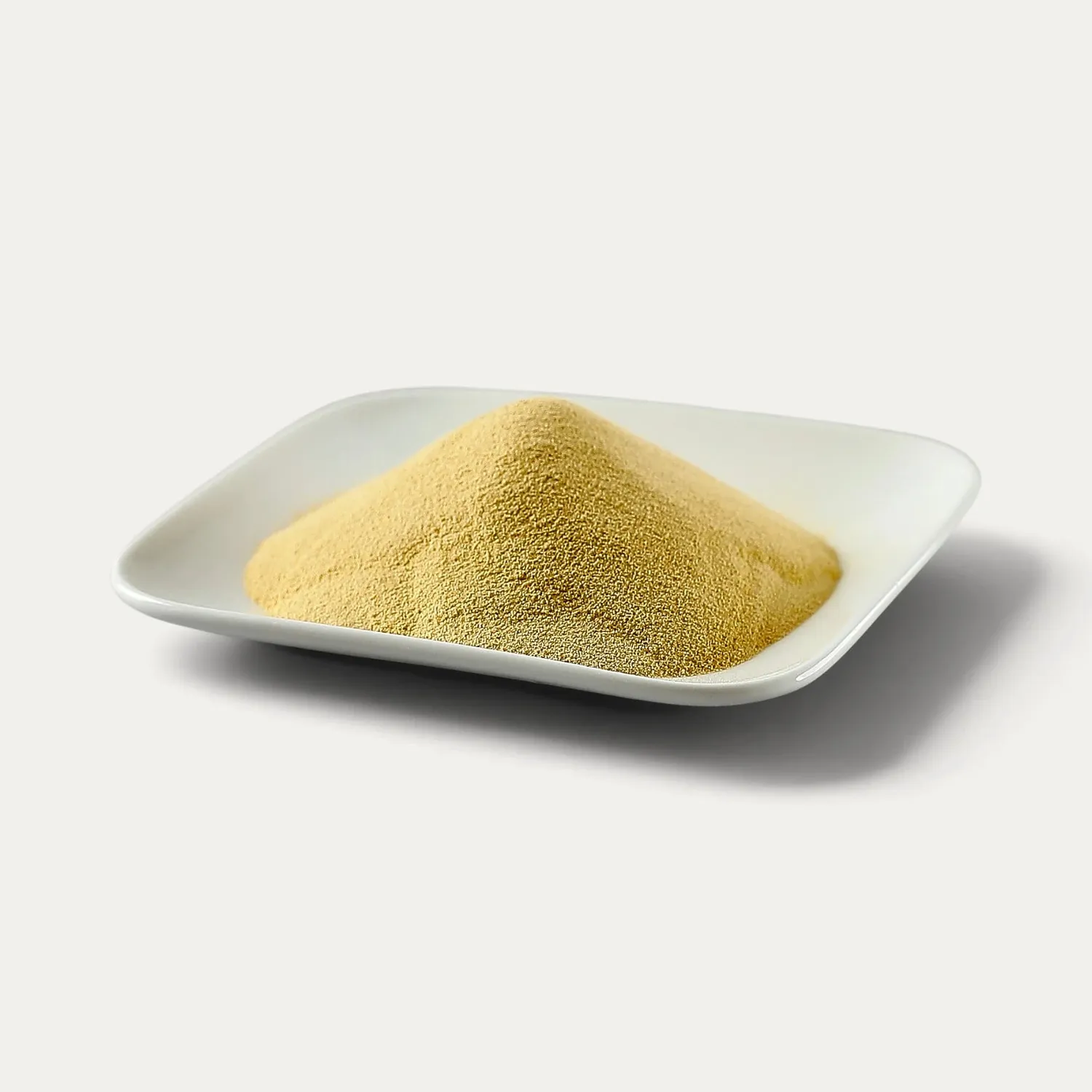 Nishikidori Magic Tender attendrisseur viande 1kg sans enzyme