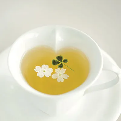 NISHIKIDORI Trèfle 4 feuilles fleur séchée décor