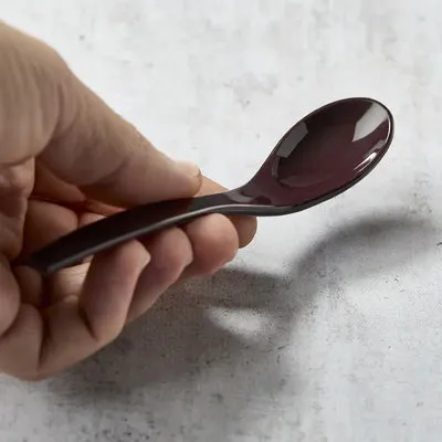 NISHIKIDORI Chawanmushi cuillère 132 mm sombre
