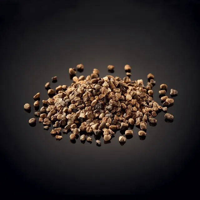 Nishikidori Cardamome Verte Graines Guatemala Boîte 100 g