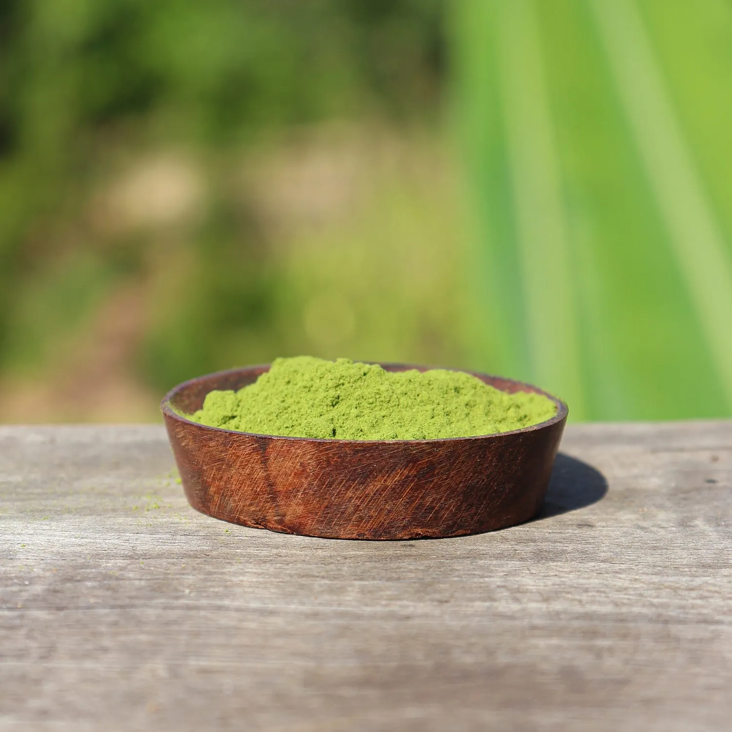 La Plantation Moringa poudre verte cuisine