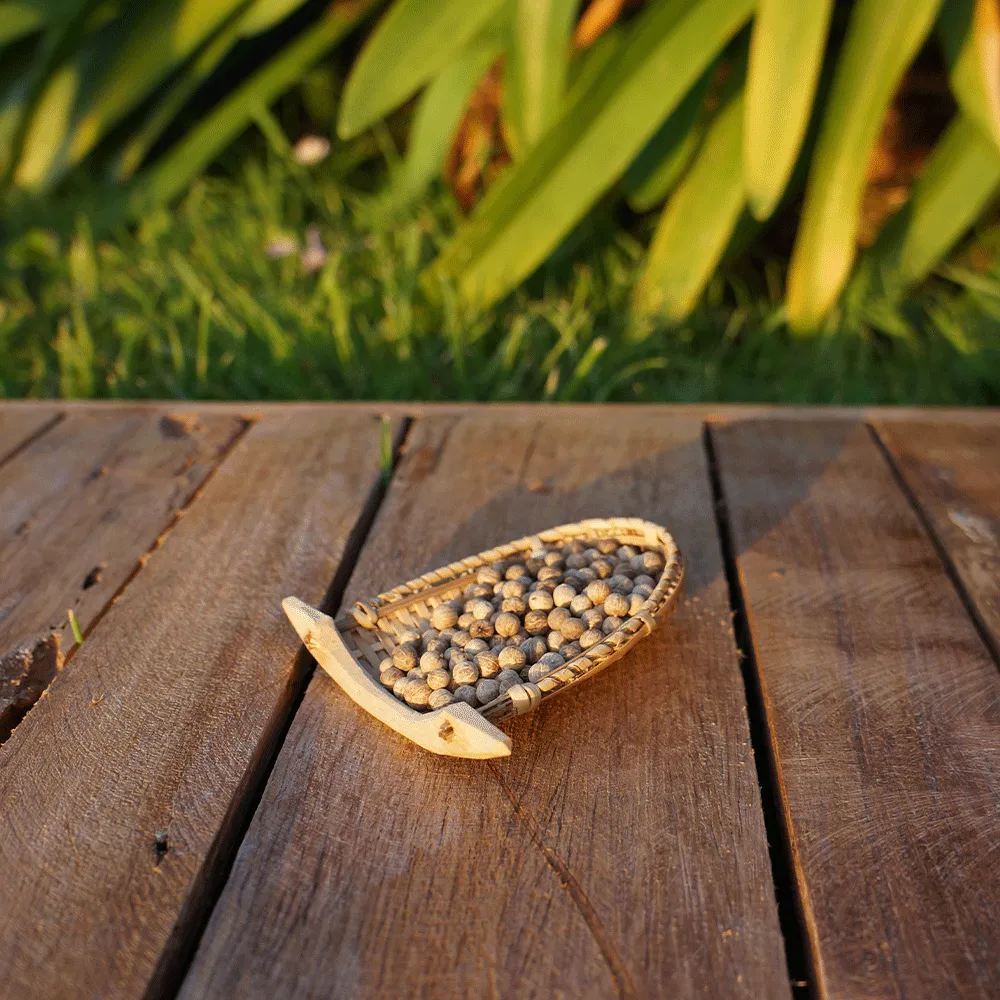 La Plantation poivre de Mondolkiri blanc en grains