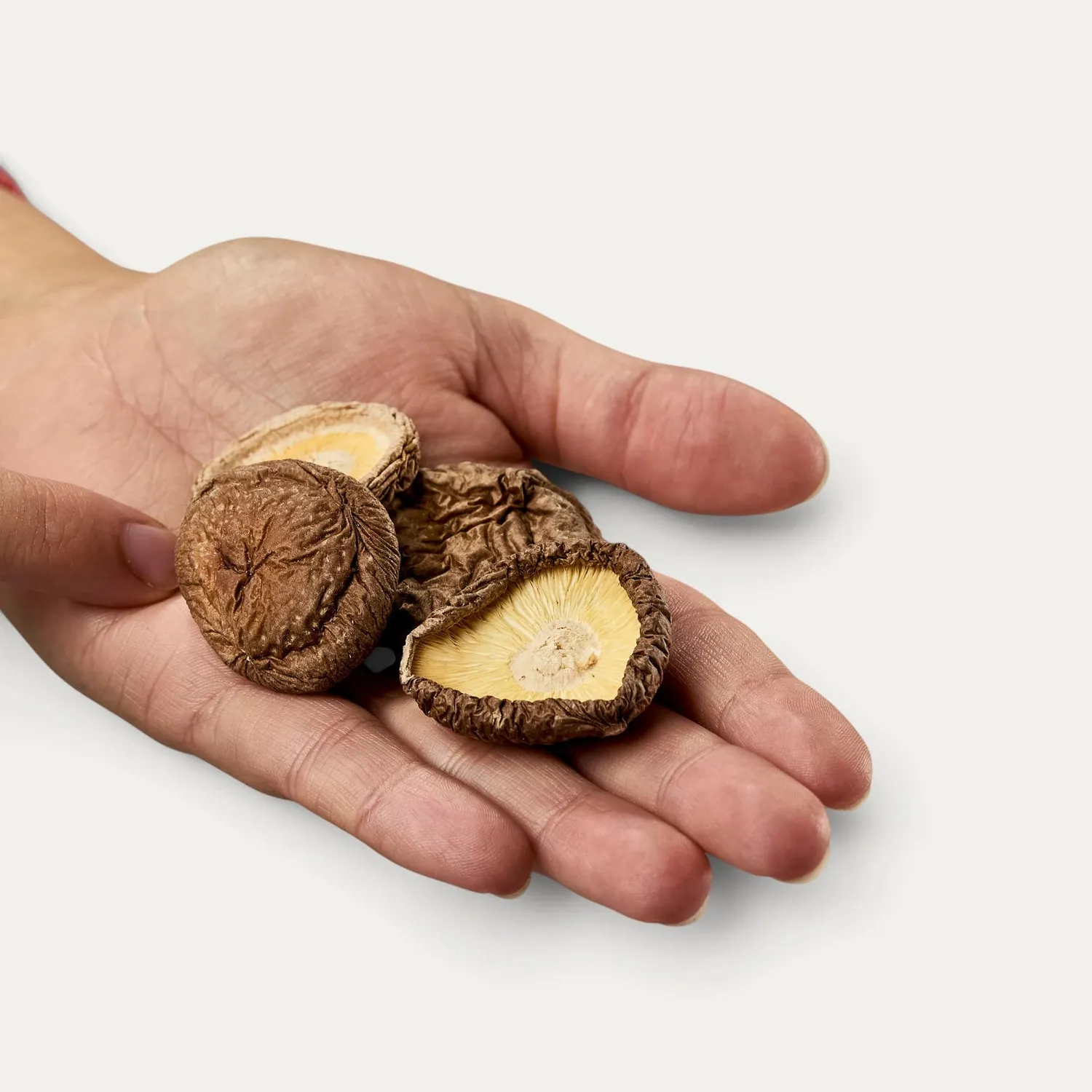 NISHIKIDORI shiitake sans pied 3-5 cm 100 g séché