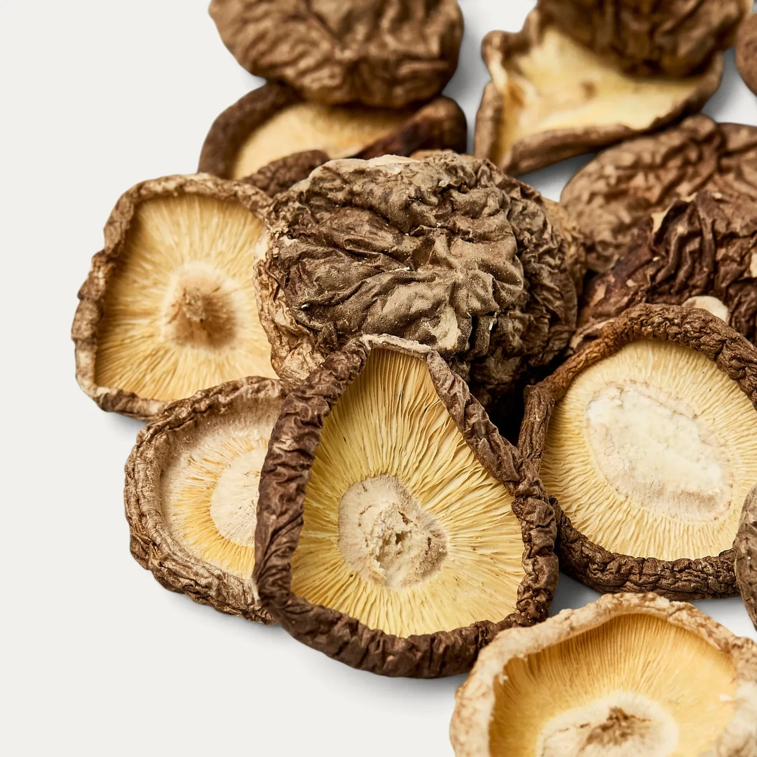 NISHIKIDORI shiitake sans pied 3-5 cm 100 g séché