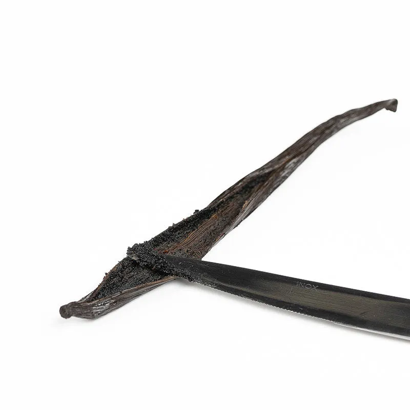 Nishikidori Vanille Tahitensis gousse 13-15 cm 4 pièces